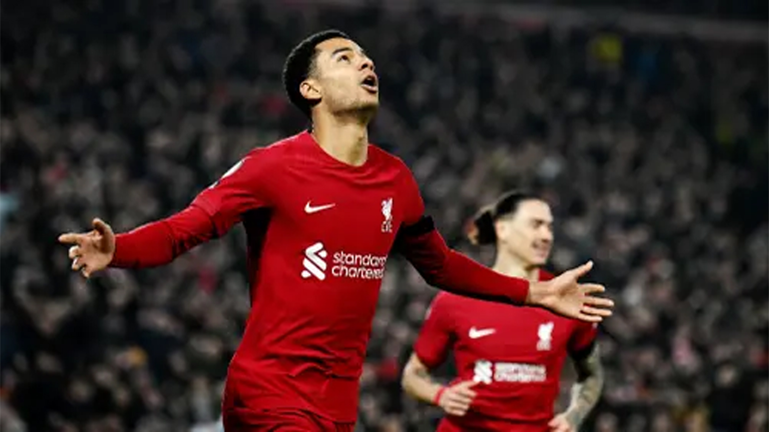 Cody Gakpo target utama Liverpool New Contracts musim ini